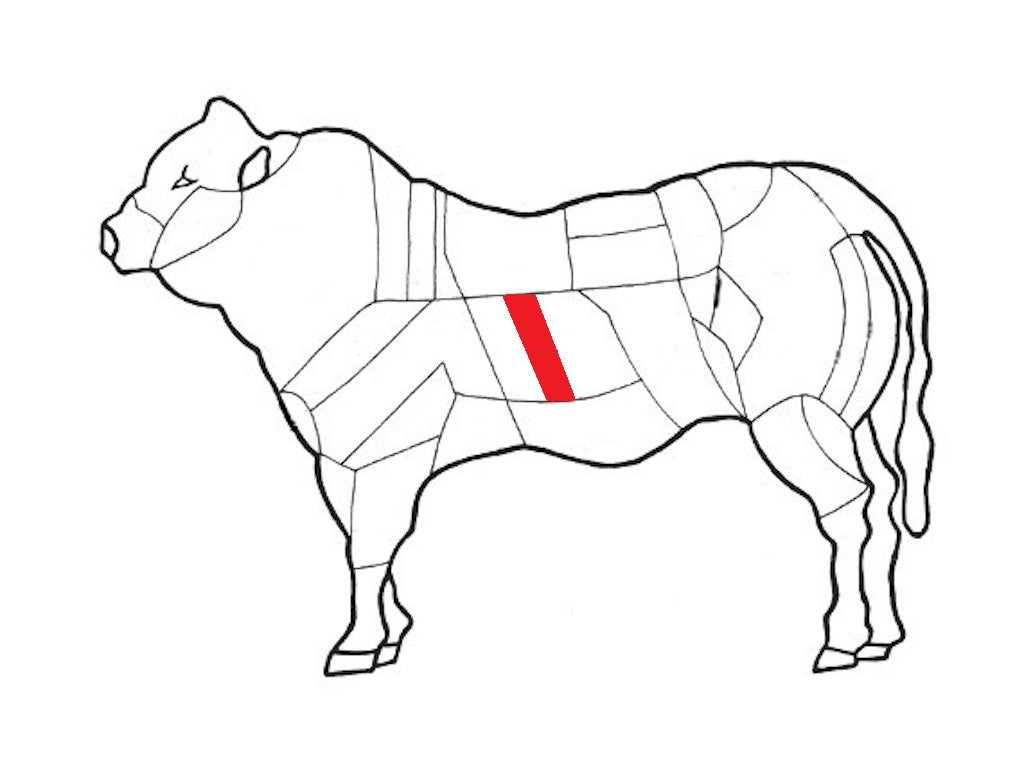 Il Diaframma di Bovino Adulto